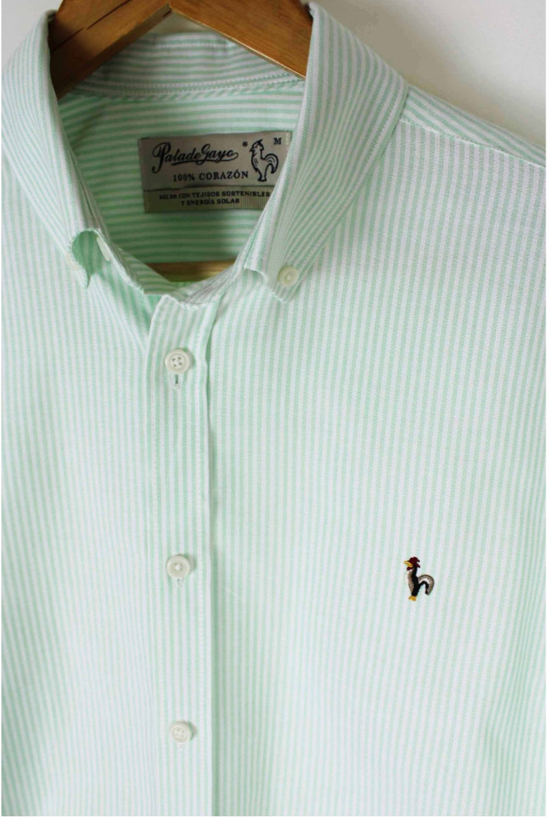 CAMISA OXFORD RAYAS VERDE PATADEGAYO