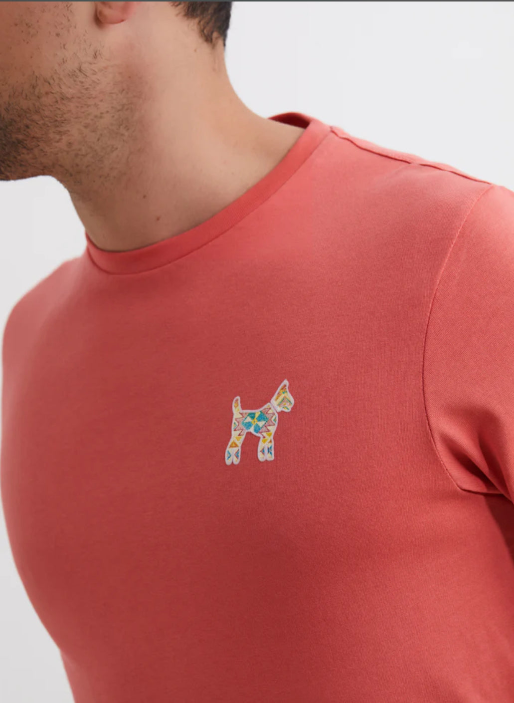 CAMISETA LOGO ÉTNICO CORAL WILLIOT