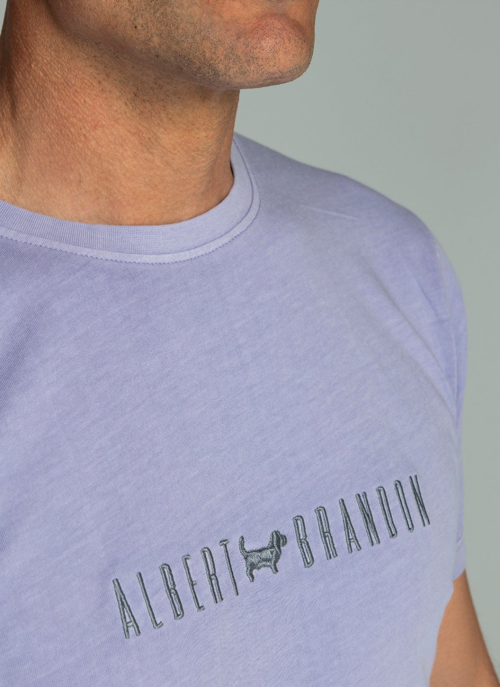 CAMISETA RISEN DELAVADA MALVA ALBERT BRANDON