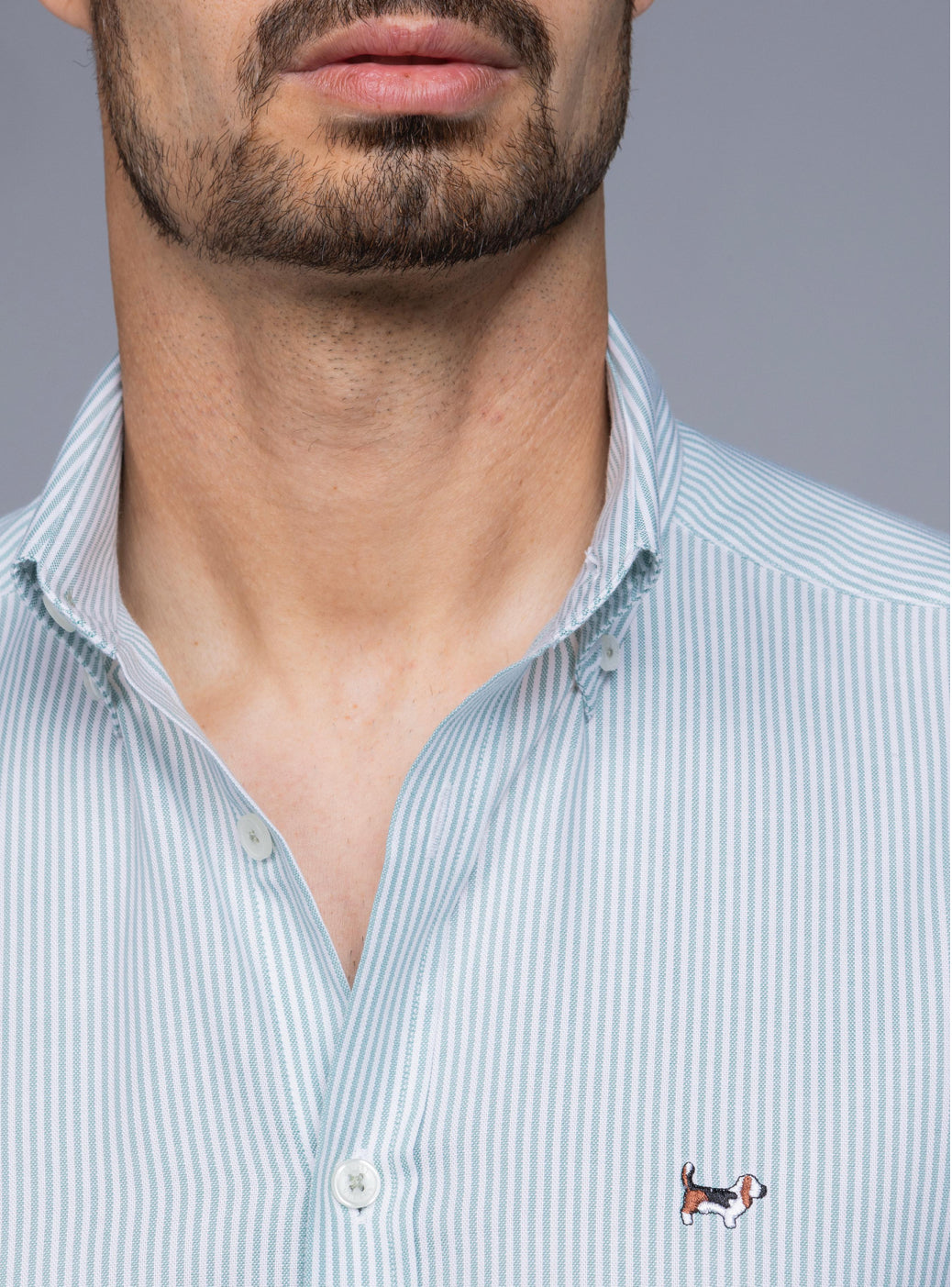 CAMISA FIOXFORD RAYA KODAK VERDE MENTA ALBERT BRANDON
