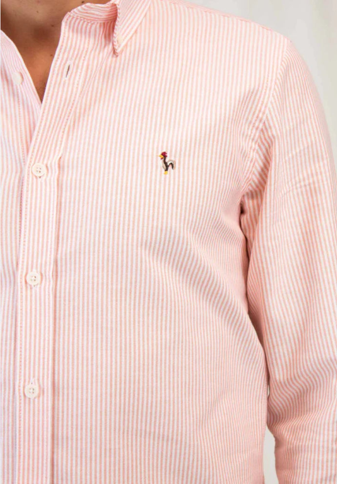 CAMISA OXFORD RAYAS NARANJA PATADEGAYO