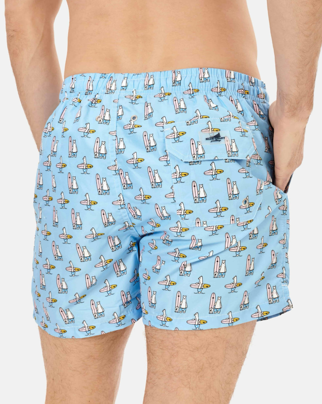 BAÑADOR OSO POLAR BLUE COAST