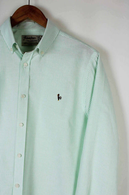 CAMISA OXFORD RAYAS VERDE PATADEGAYO