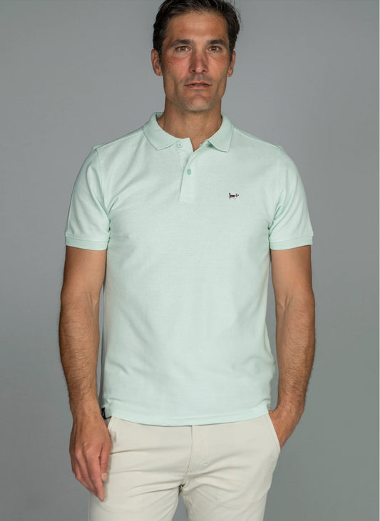 POLO BÁSICO TELDE AQUAMARINA ALBERT BRANDON
