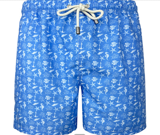 BAÑADOR AZULON BLUE COAST
