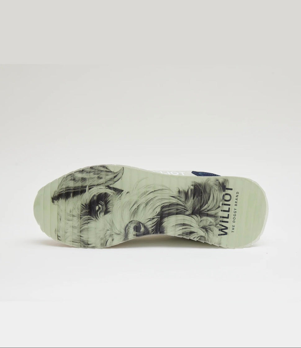 SNEAKER SCHNAUZER WILLIOT