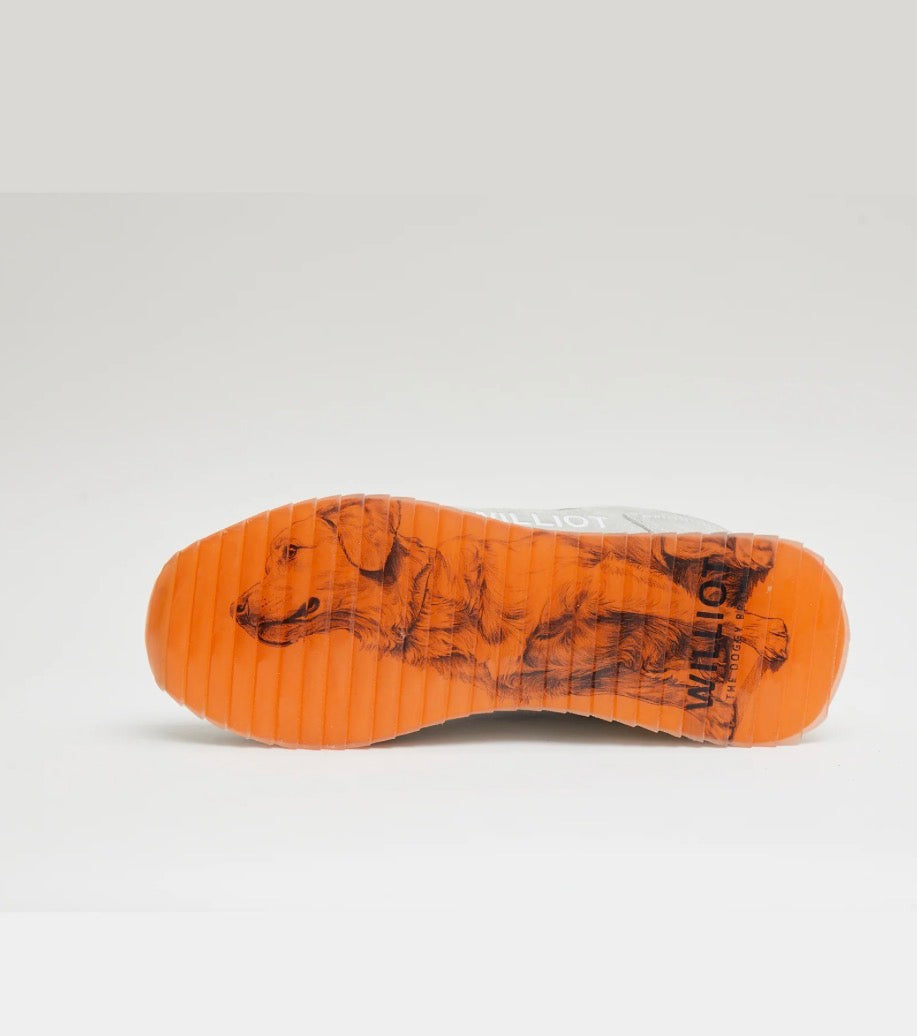 SNEAKER GOLDEN RETRIEVER WILLIOT