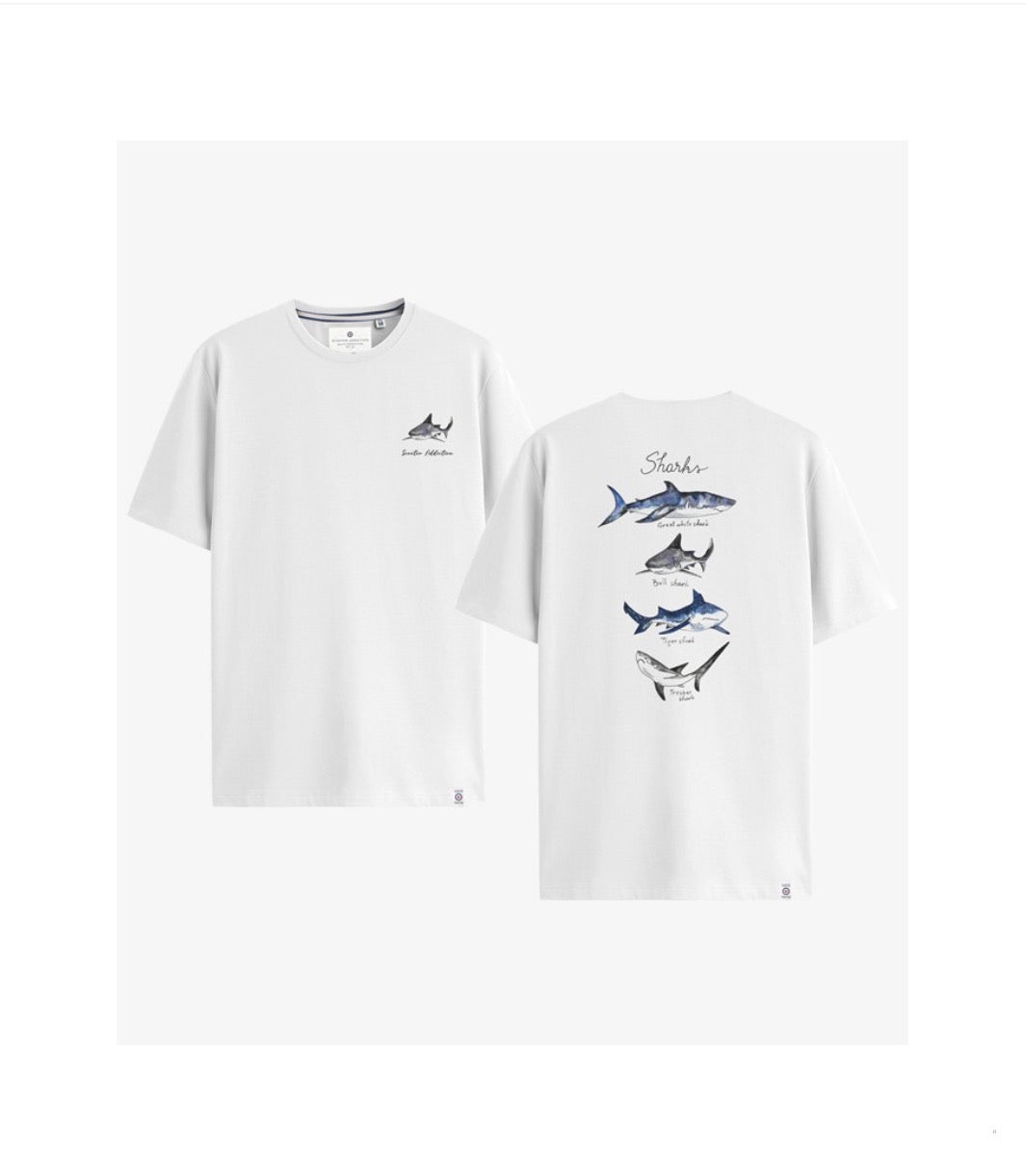 CAMISETA SHARK COMBO 1 SCOOTER