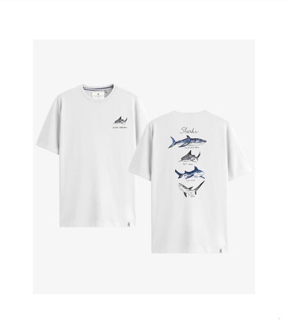 CAMISETA SHARK COMBO 1 SCOOTER